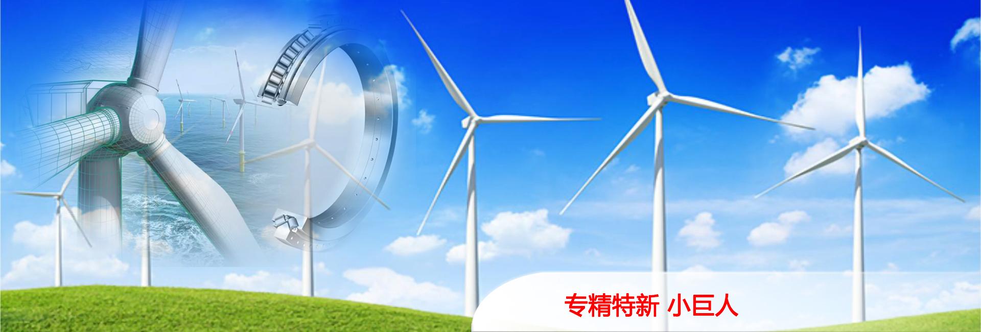 山東國(guó)新起重機(jī)械有限公司 