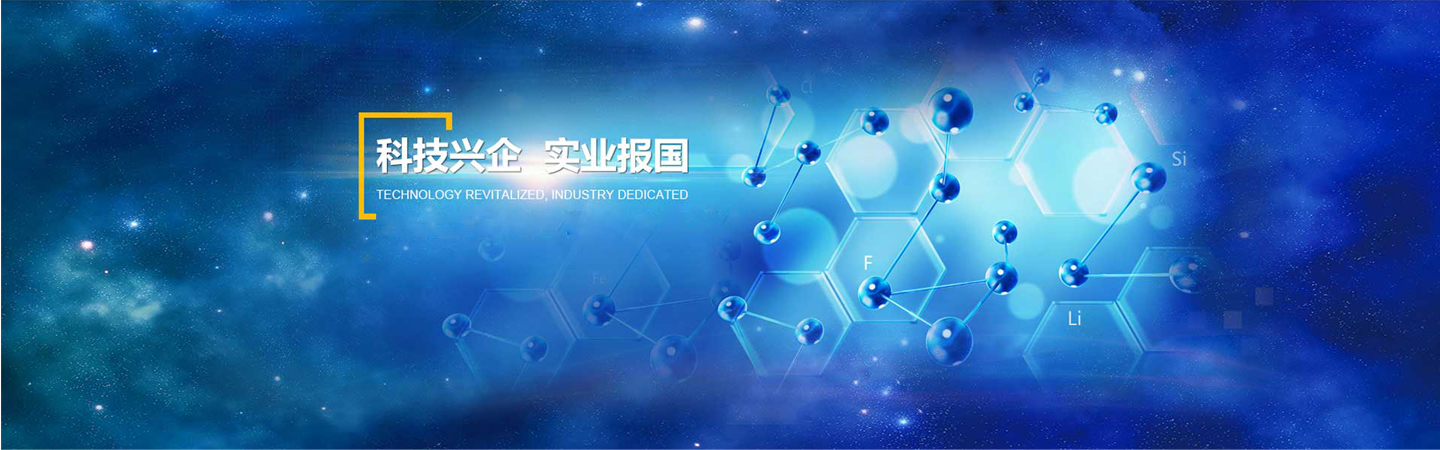 山東國(guó)新起重機(jī)械有限公司 